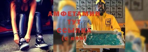 ГАЛЛЮЦИНОГЕННЫЕ ГРИБЫ Новозыбков