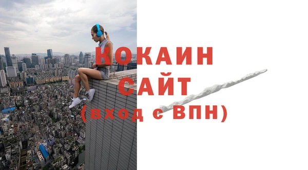 ГАЛЛЮЦИНОГЕННЫЕ ГРИБЫ Новозыбков