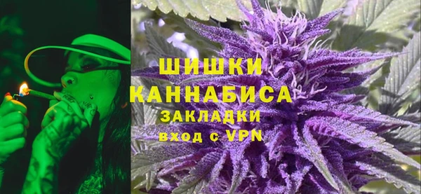 ГАЛЛЮЦИНОГЕННЫЕ ГРИБЫ Новозыбков
