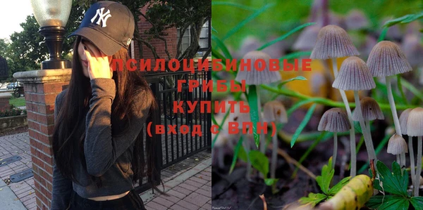 ГАЛЛЮЦИНОГЕННЫЕ ГРИБЫ Новозыбков