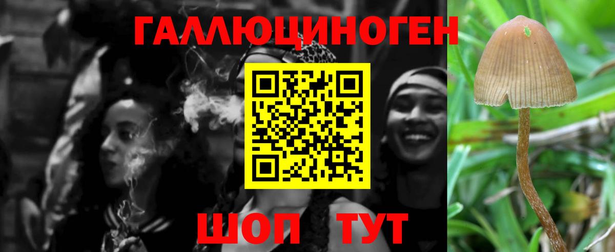 Уфа  Галлюциногенные грибы Cubensis  Вход с VPN 